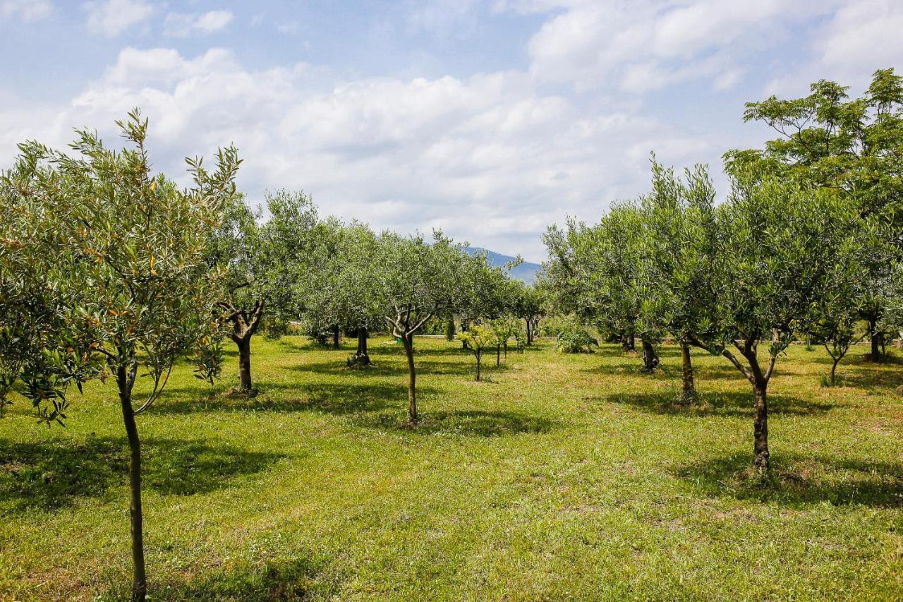 Nomade - Slow Living Lodge Balestrate Dış mekan fotoğraf